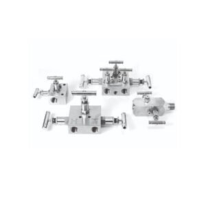 Manifold